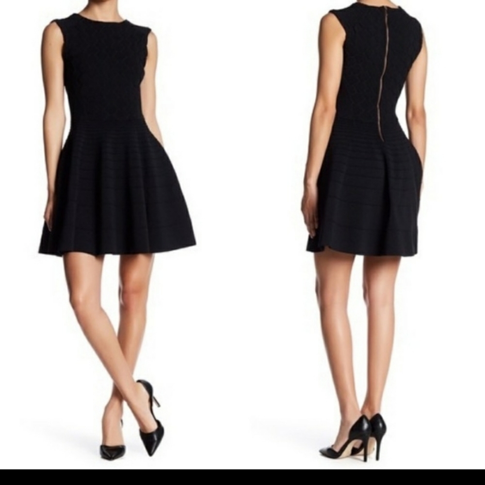 Black Ted Baker Frinca Dress